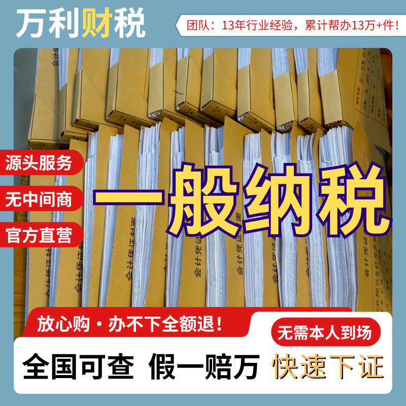 一般纳税人0报税/年